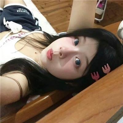 托梅斯的导盲犬